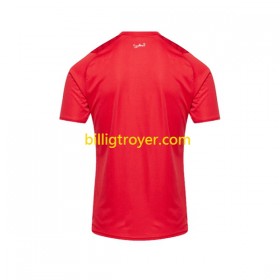 Billige Fotballdrakter Marokko Hjemmedraktsett 2023 Kortermet